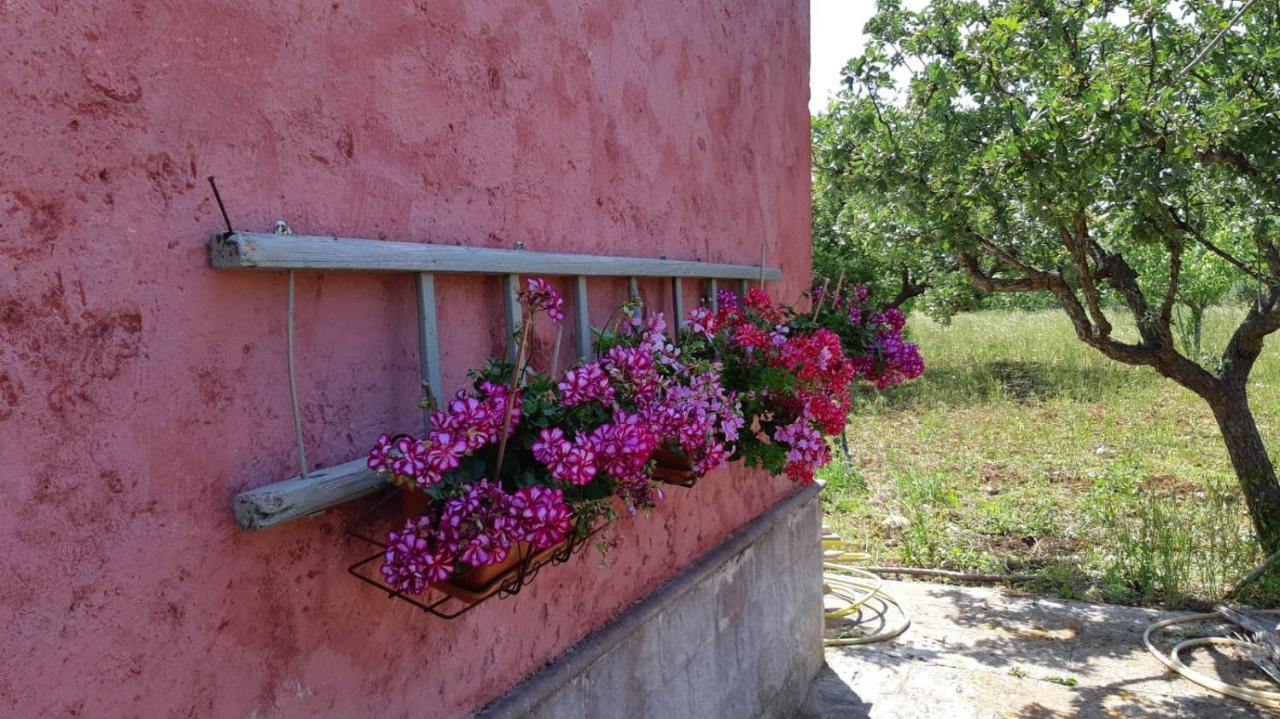 Casa Alle Vigne Polignano a Mare Exterior foto